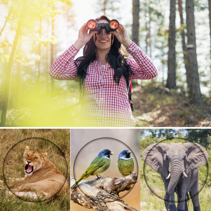 Binóculos Profissional HD 80x80 | Longo alcance E Visão Noturna - Frete Grátis