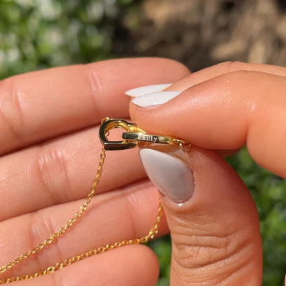 Colar Dueto de Amor + Urso com Rosa Eternizada